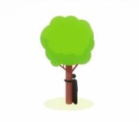 Človek pravi: Free Hugs! - Drevo pravi: Hvala, ampak odjebi, softič.