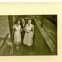 Ana P.+ Božo P.+ Katja P. je jutro treh Pjev. ali vrnitev v paleozoik