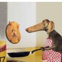 OB ZAJTRKU SE PRILEŽE STARI DOBRI RADIO ŠTUDENT!