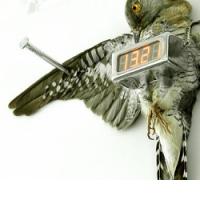 DANES JE TOREK IN URA JE GADNA.