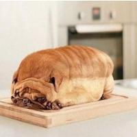 SREDINO JUTRO TOPIH NOŽEV