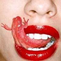 SREDINO PRILIZOVANJE