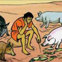 VRATIO SE IZGUBLJENI SIN!!!