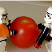 Sviče zora... u četvrtak