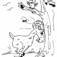 Četrteeeeeek ni za ovceeeee!