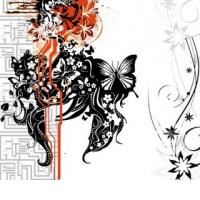 Petkov jutranji program.