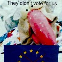 EP anketa o referendumu o lizbonski pogodbi