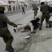 KROFF SIRSKEGA AKTIVISTA