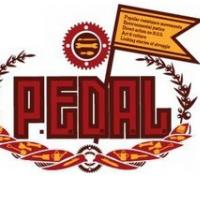 KARAVANA P.E.D.A.L. NA POTI V PALESTINO