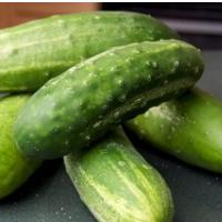 »NEURADNI LIST – LETNIK 4, ŠTEVILKA 16«