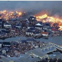 KAKOPAK JAPONSKI OFF