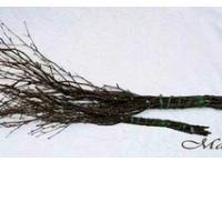 OFF SLOVANSKEGA ŠIBANJA