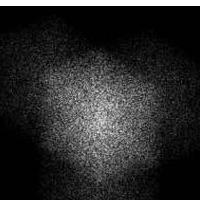 OFF VISOKE POLITIČNE ENTROPIJE