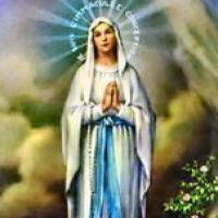 OFF PAMELE KOT DEVICE MARIJE